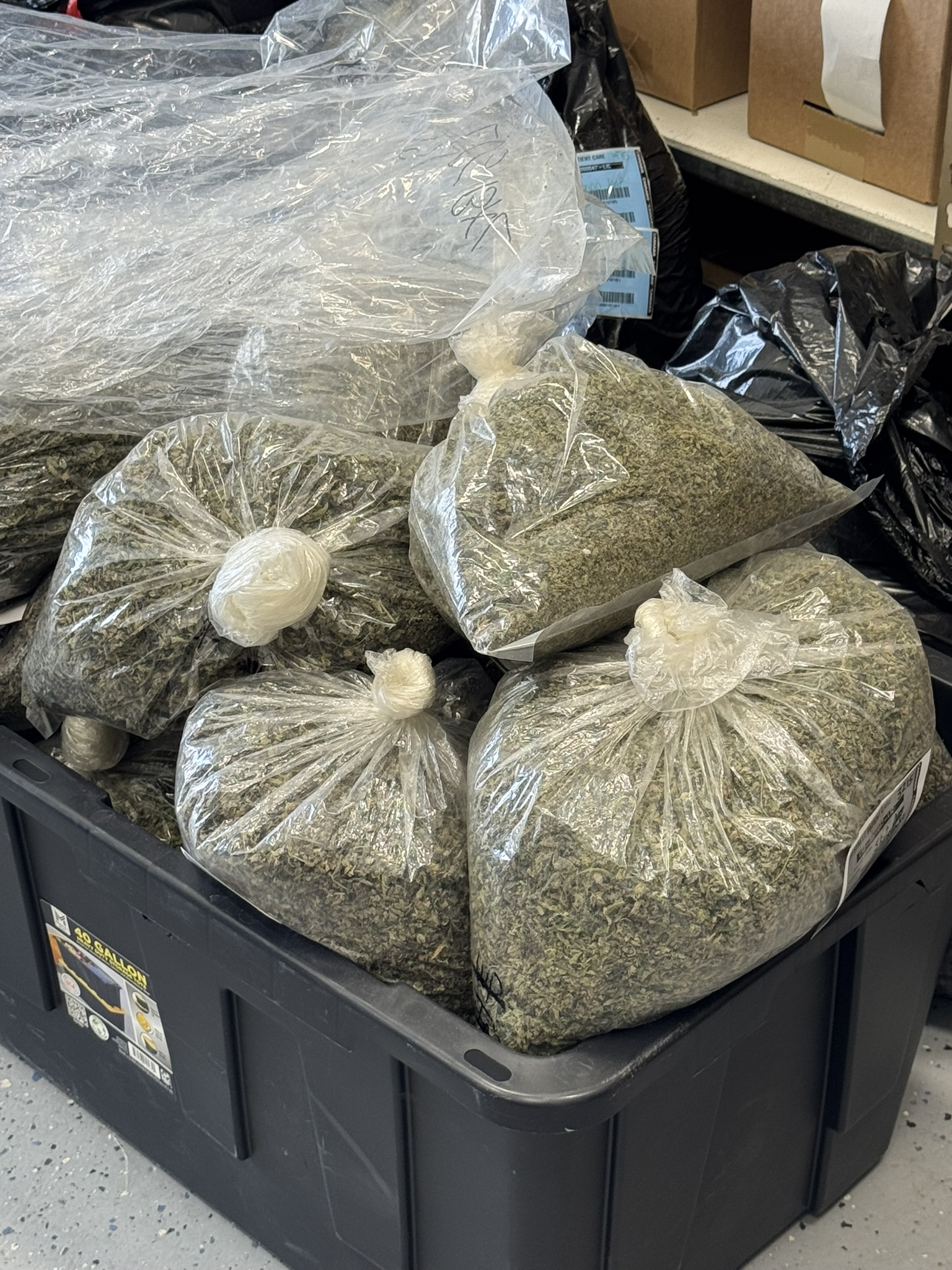 IMG_3187 cannabis products grown in Needles Ca sold fresh at H Street