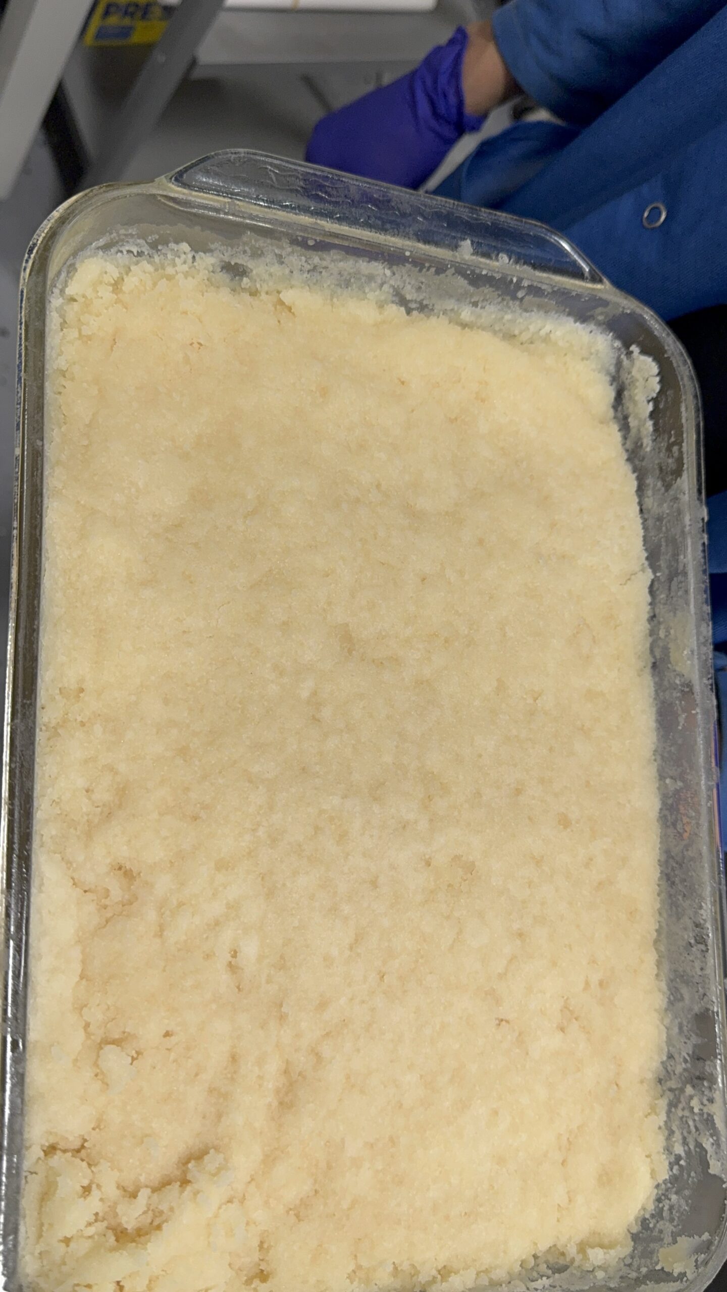 IMG_3189 H Street grows its own Cannabis and make its own Wax