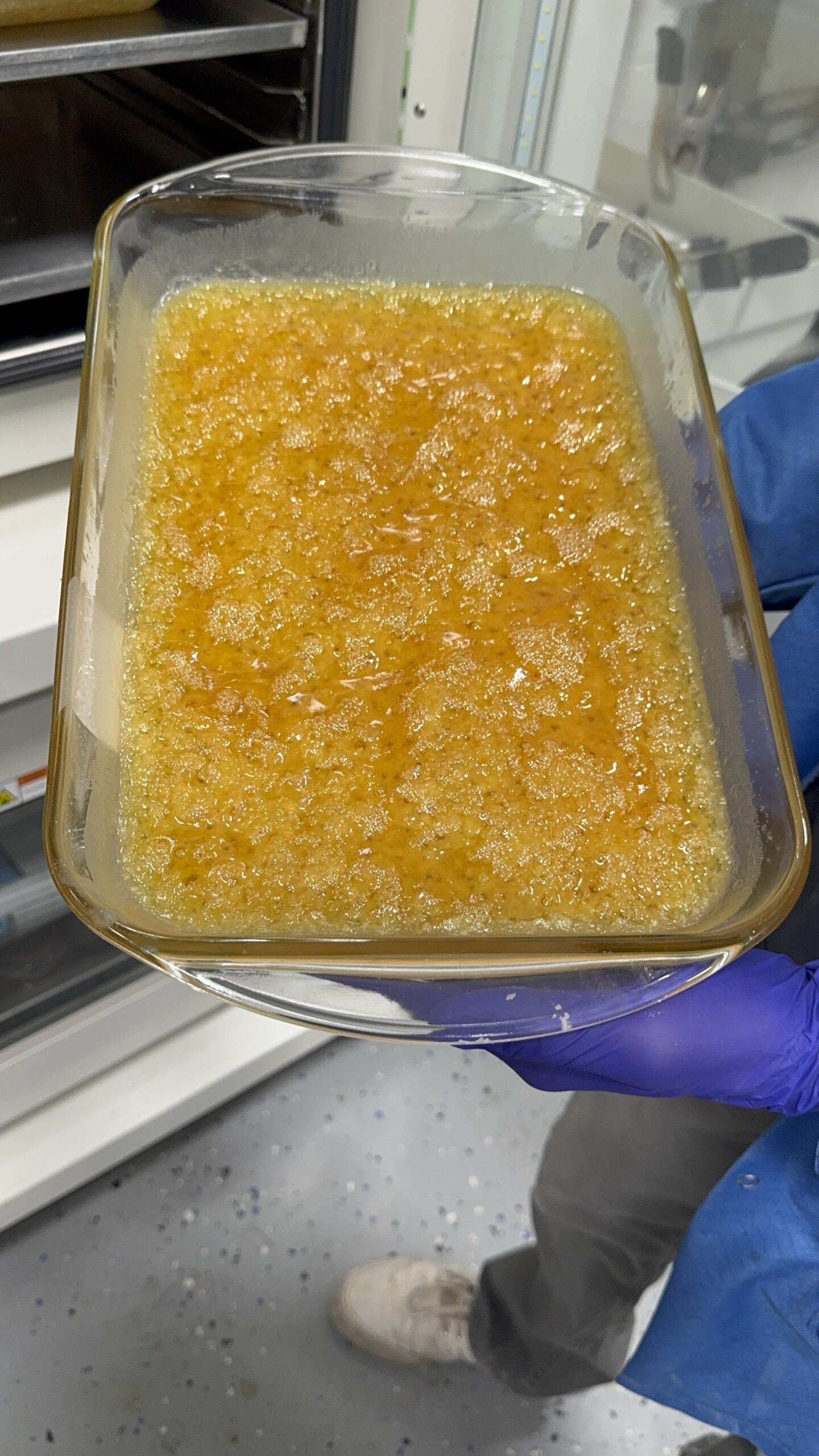 Diamonds Shatter concentrate cannabis in Needles Ca